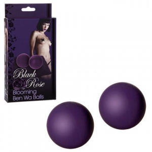 Тяжелые маленькие вагинальные шарики «Black Rose» фиолетовые