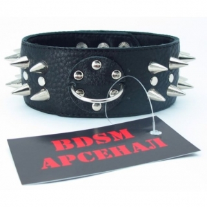 Ошейник «BDSM Арсенал» Двойной еж с шипами